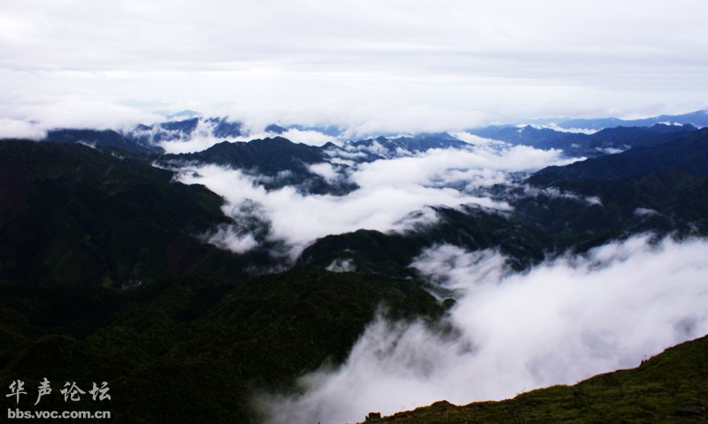 200905040855326311-1911199.jpg