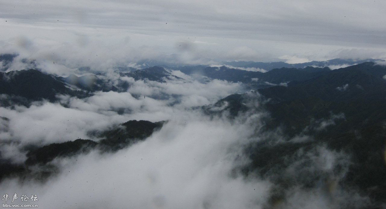 200905040855326311-1911199.jpg