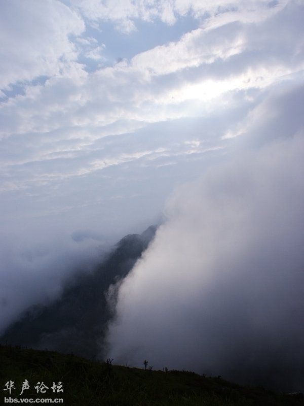 200905040855326311-1911199.jpg