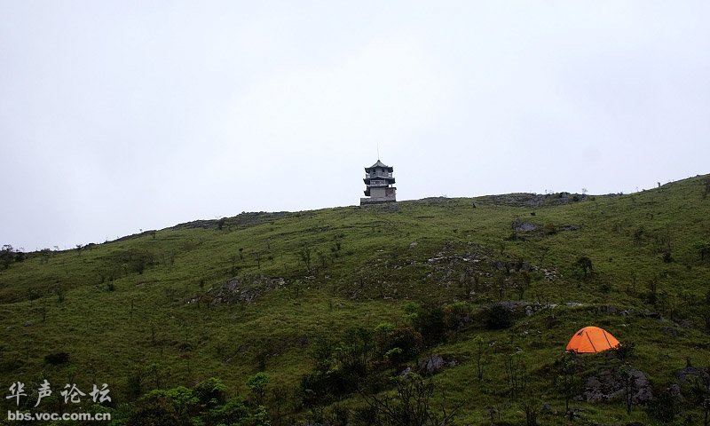 200905040855326311-1911199.jpg