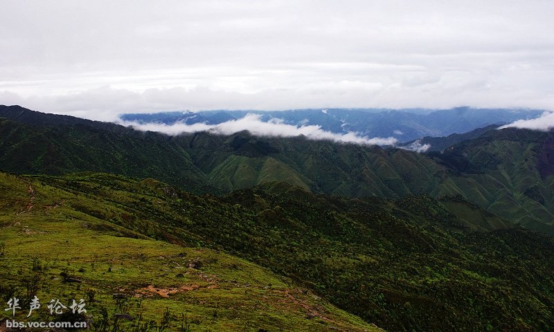 200905040855326311-1911199.jpg