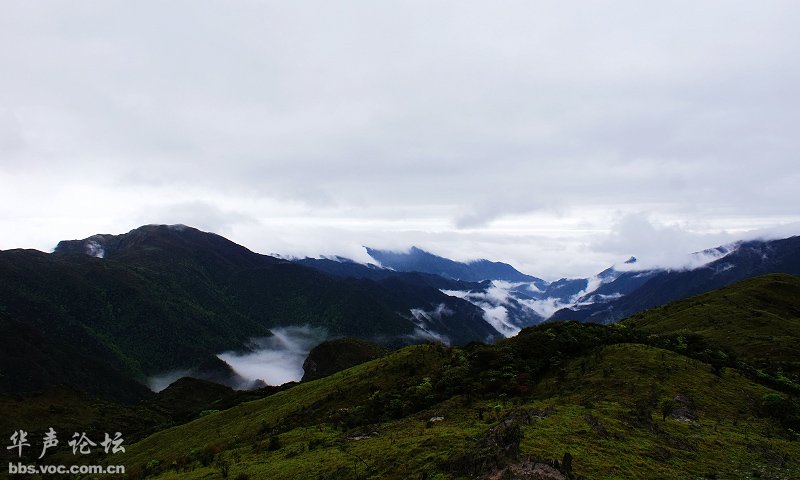 200905040855326311-1911199.jpg