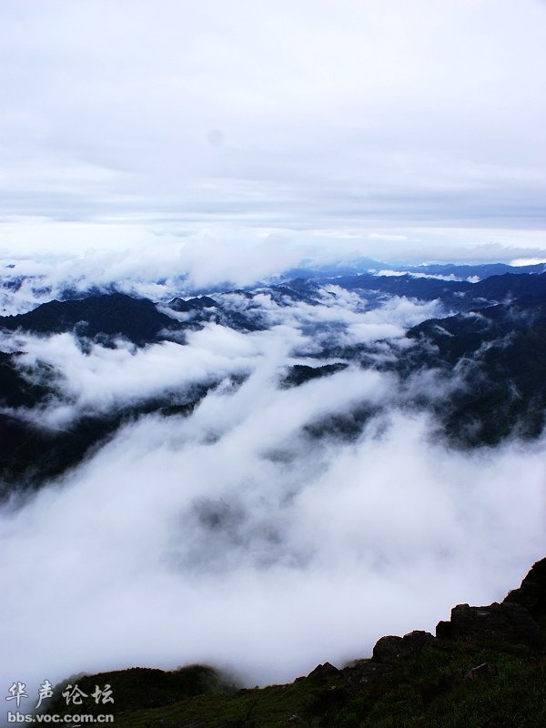 200905040855326311-1911199.jpg