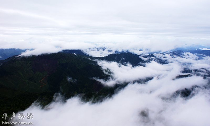 200905040855326311-1911199.jpg