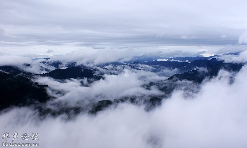 200905040855326311-1911199.jpg