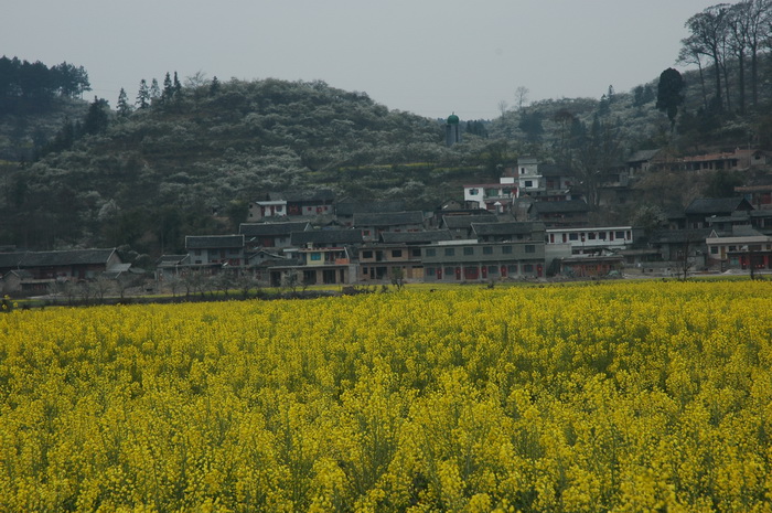 DSC_3727_������С.JPG