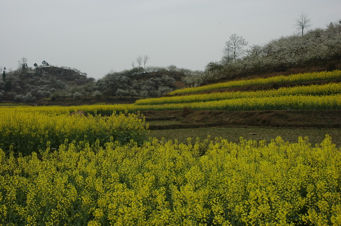 DSC_3747_������С.JPG