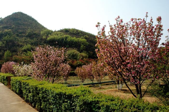 DSC_4439_������С.JPG