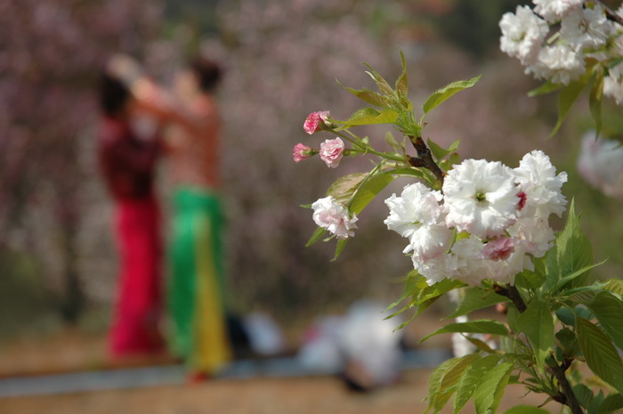 DSC_4454_������С.JPG
