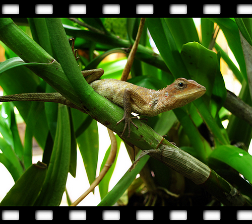 IMG_2312.JPG