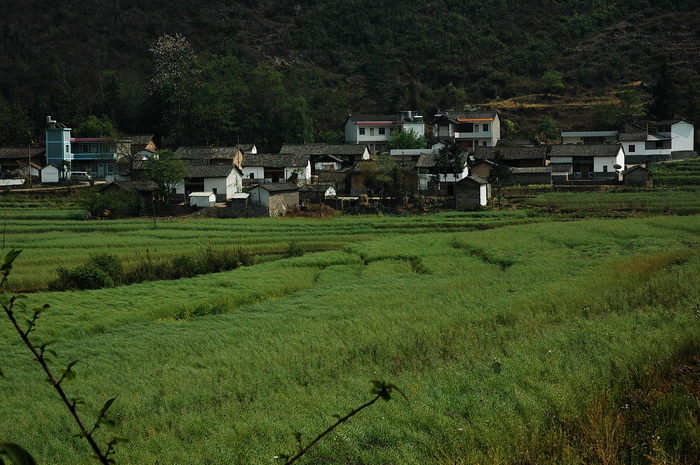 DSC_4752_������С.JPG
