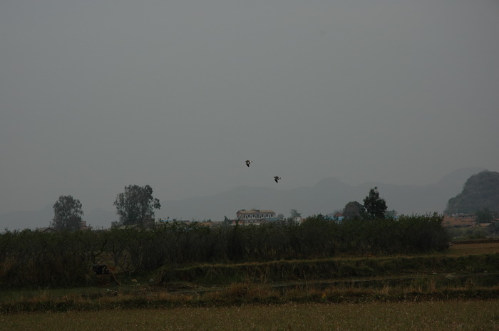 DSC_5419_������С.JPG
