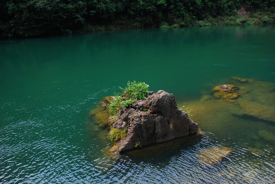 DSC_0223.jpg
