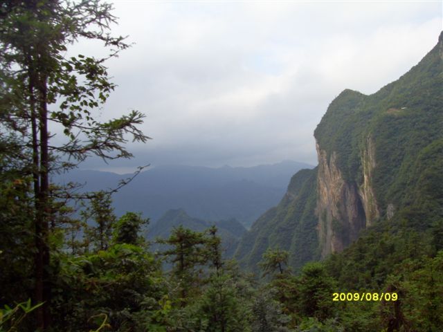 SDC11709.JPG