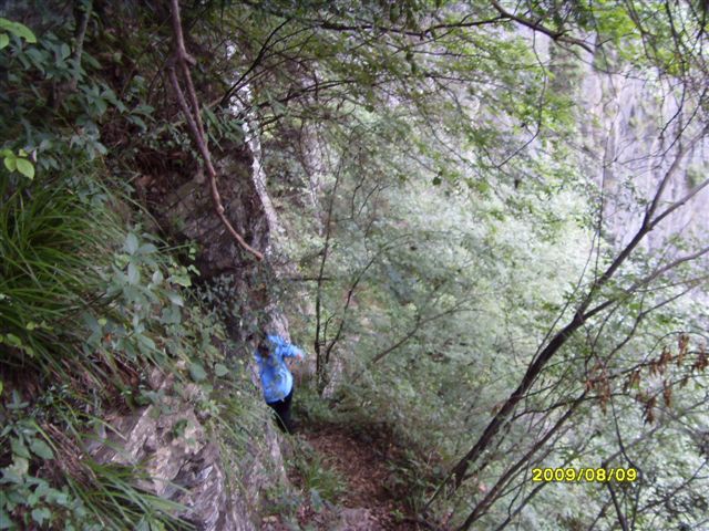 SDC11719.JPG