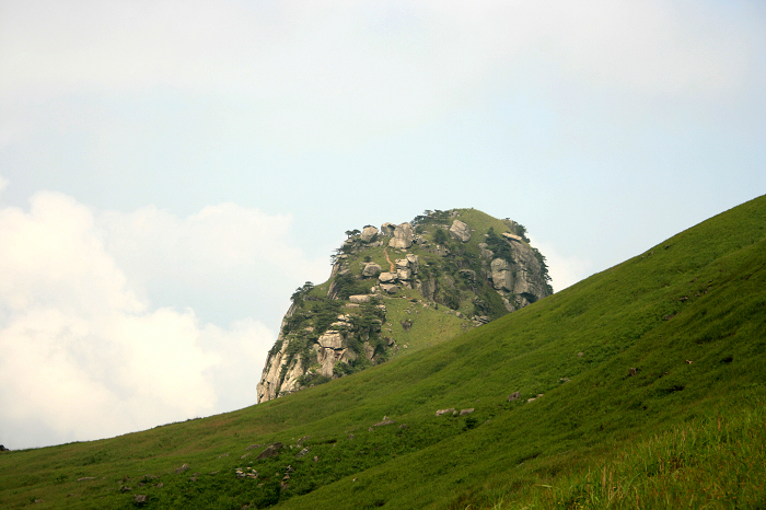 IMG_1464.JPG