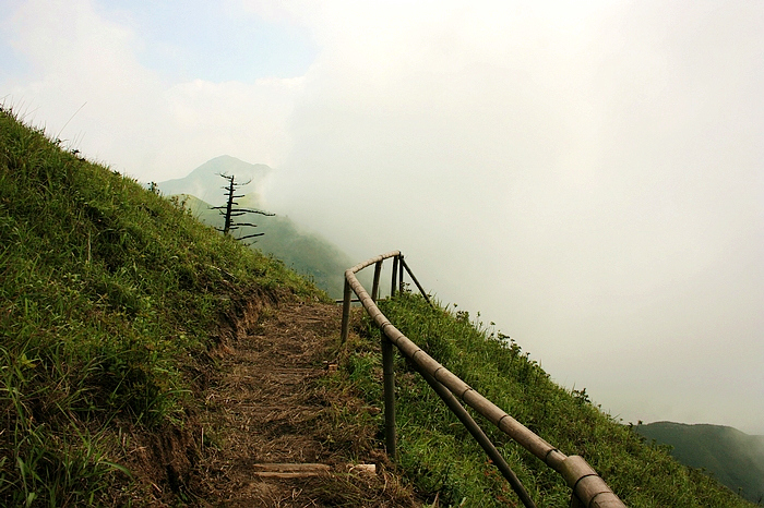 IMG_1477.jpg