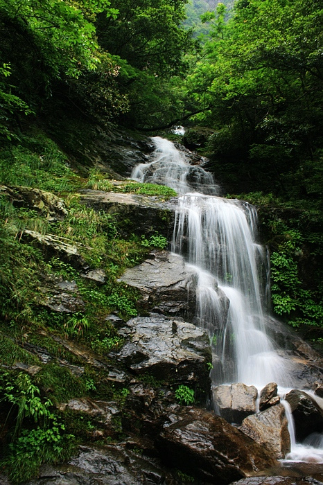 IMG_1546.jpg