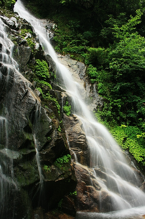 IMG_1553.jpg