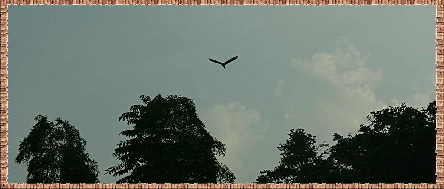 DSC03250_����.jpg