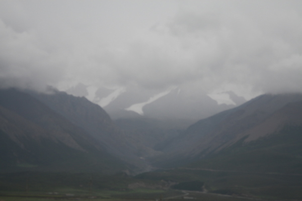 IMG_4513.jpg
