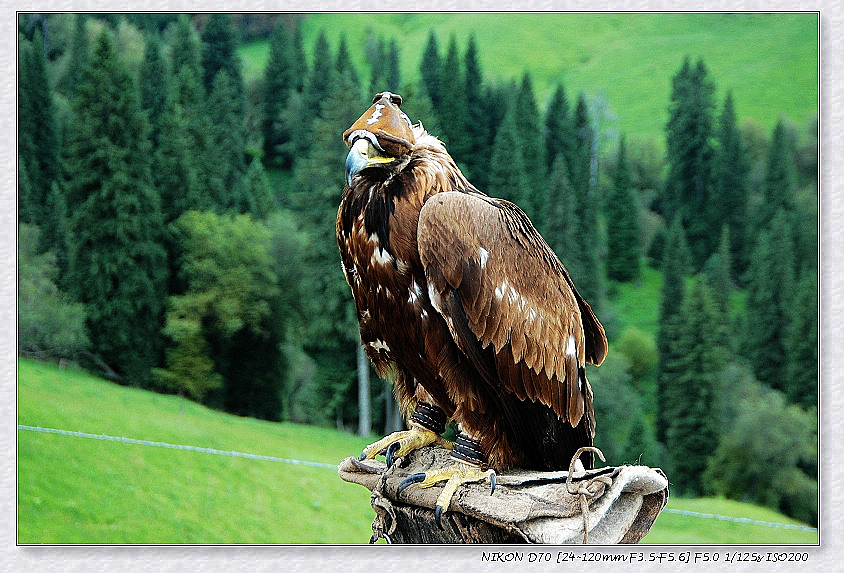 nEO_IMG_DSC_3741.jpg
