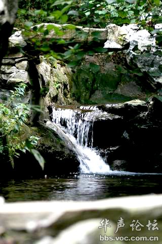200808170205445911-1927889.jpg
