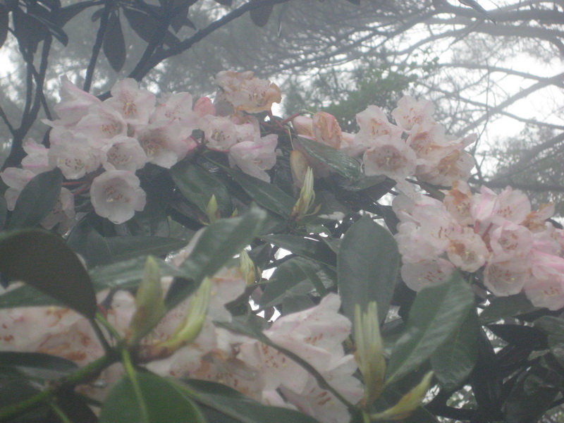IMG_1345_������С.JPG