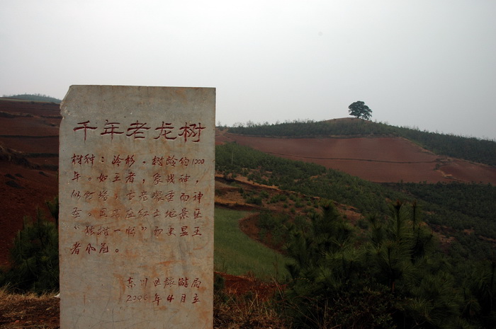 DSC_8650_������С.jpg