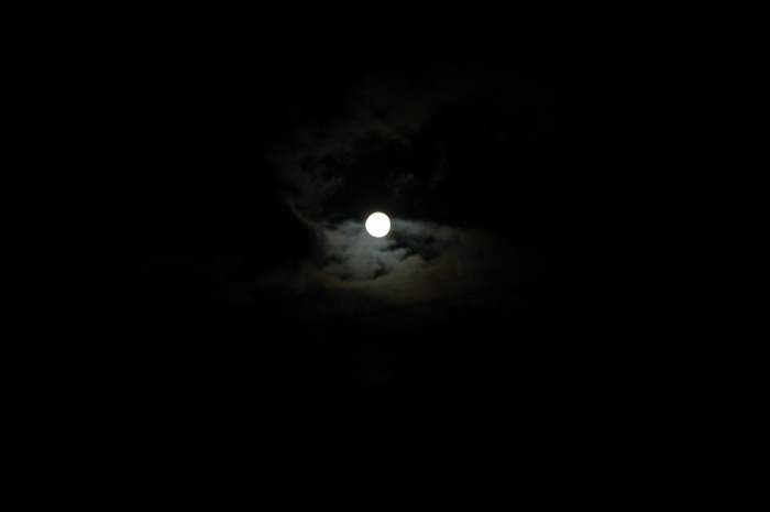 DSC_0505_������С.JPG