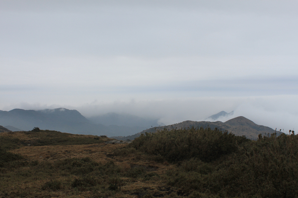 145.jpg