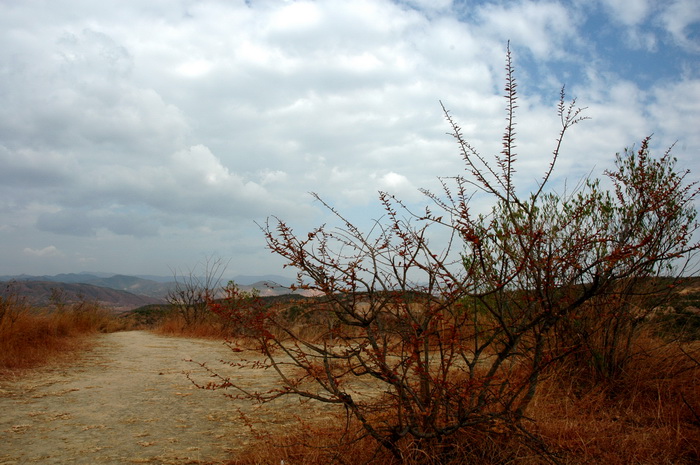 DSC_1517_������С.jpg