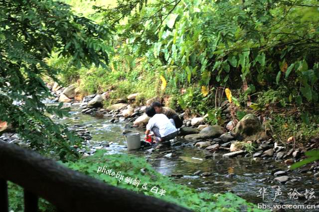 200808170157551491-1927889.jpg