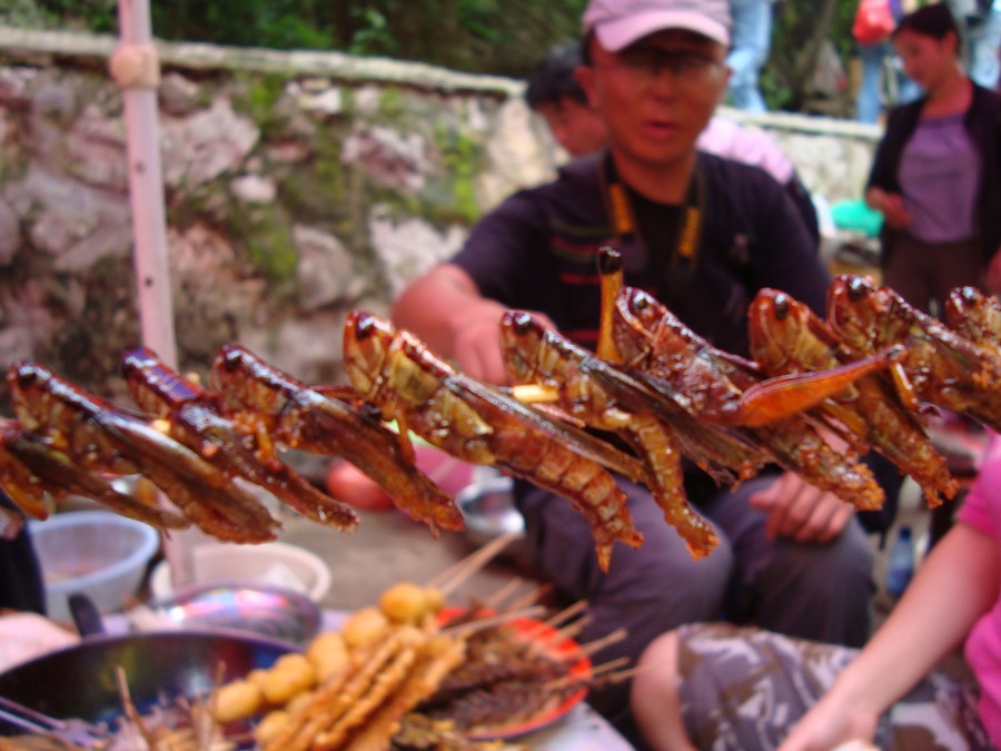 DSC03796.JPG