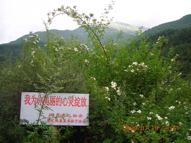 DSCN9336.JPG
