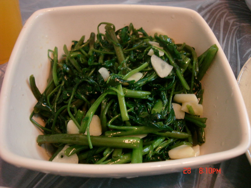 DSC07996.JPG