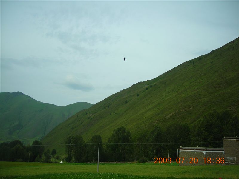 DSCN9503.JPG