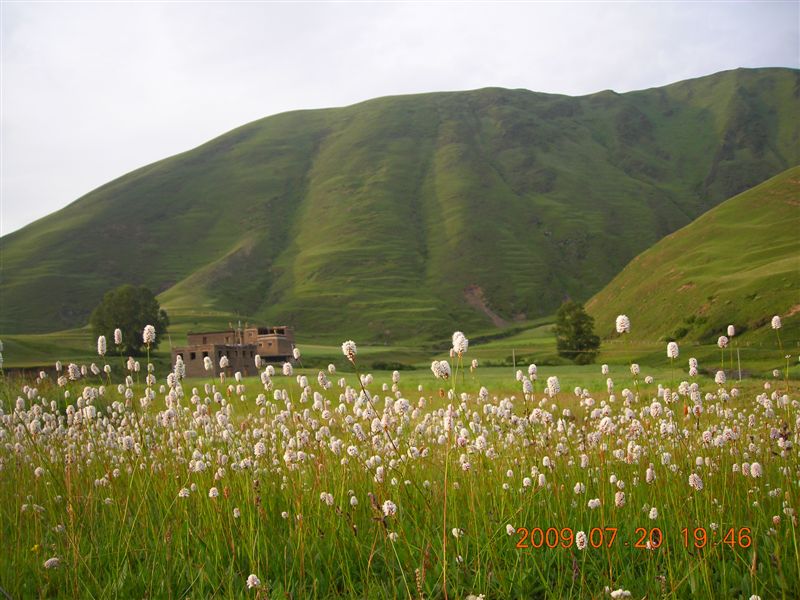 DSCN9535.JPG