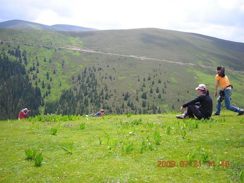 DSCN9617.JPG