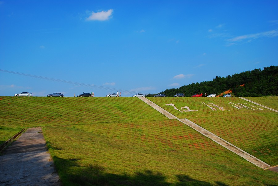 DSC_0005.jpg