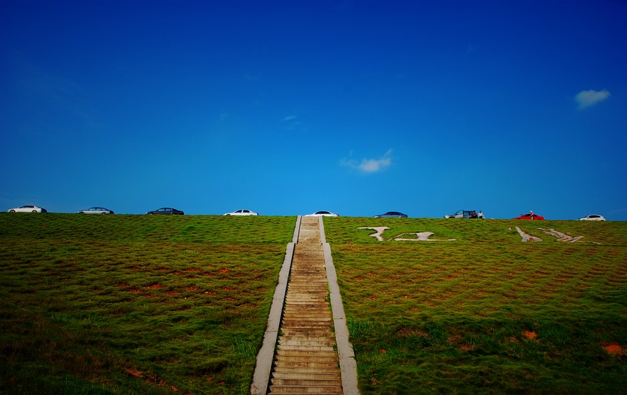 DSC_0007.jpg