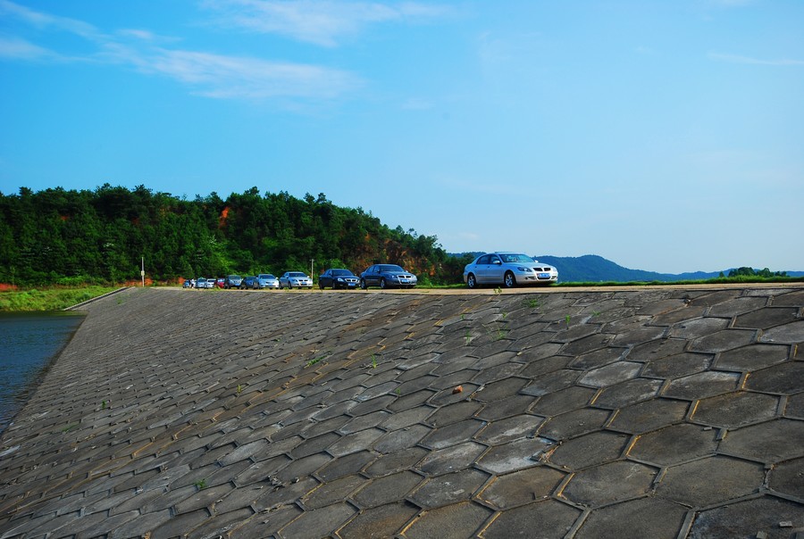 DSC_0028.jpg