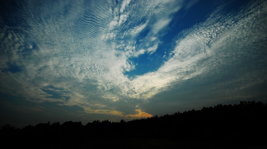 DSC_0125.jpg