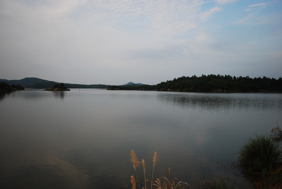 DSC_0140.jpg