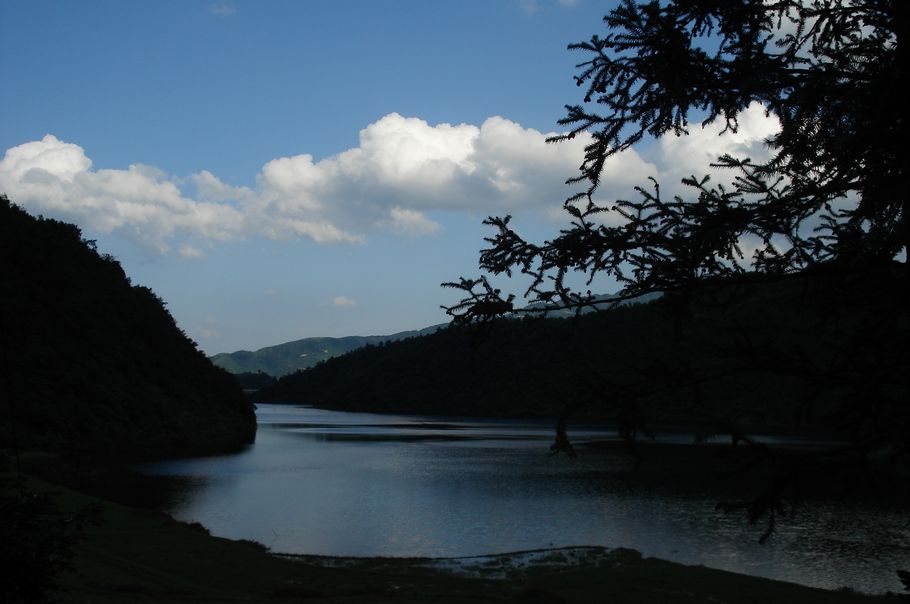 nEO_IMG_DSC03960.jpg