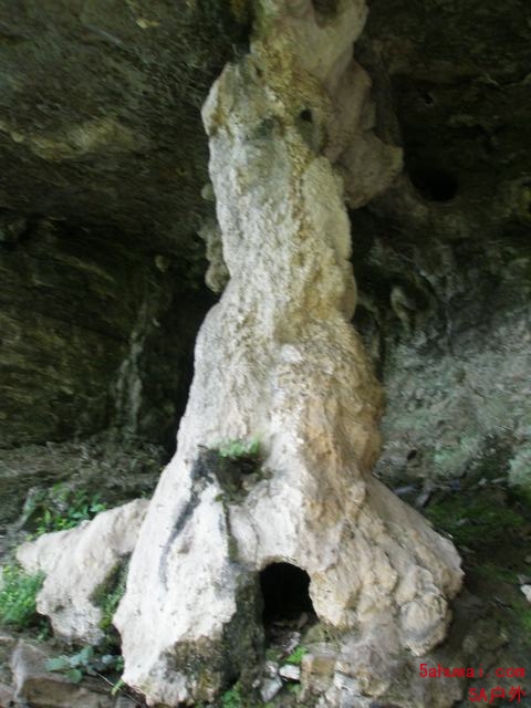 1007041447903cedcc936309de.jpg
