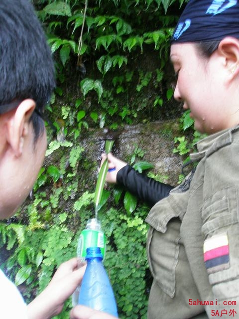 1007041951e21298dc2225b92f.jpg