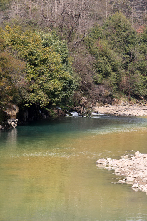 IMG_8701.jpg