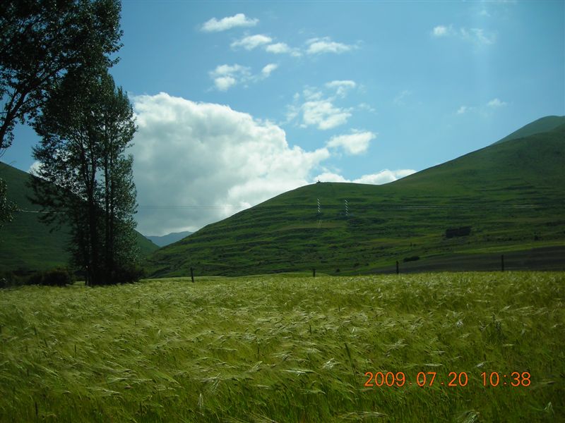 DSCN9444.JPG