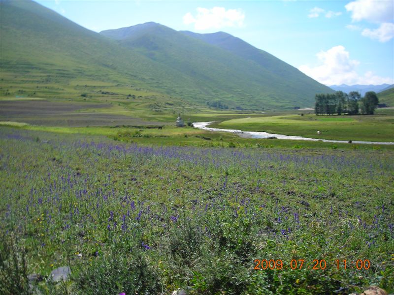 DSCN9464.JPG